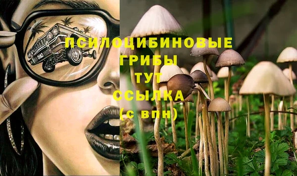 PSILOCYBIN Балахна